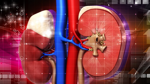 参茸补肾片效果好的吗？用于什么？