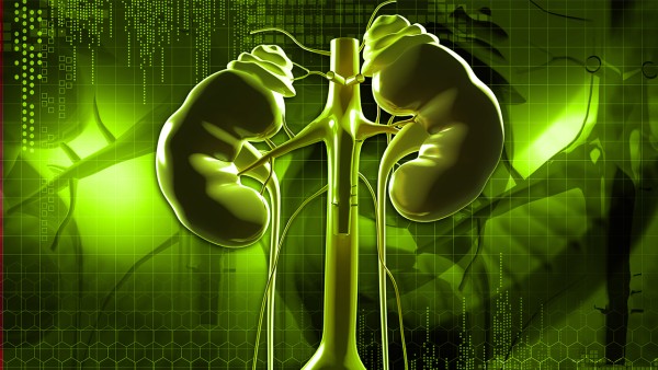 蒙脱石散能治拉稀水吗 拉稀水怎么办用药治疗好