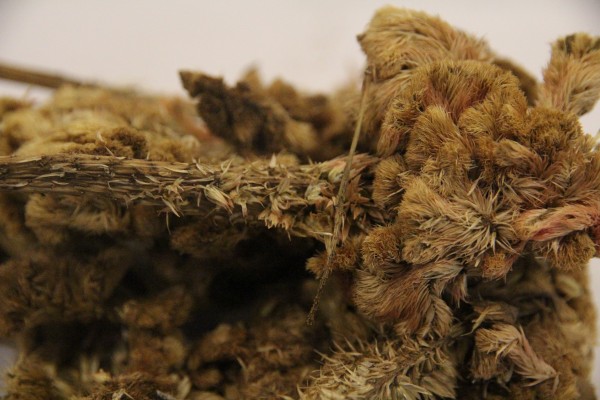 八正片是带有国药准字的，有什么作用呢？