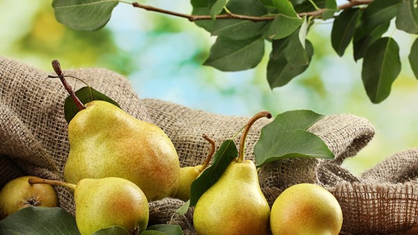 紫龙金片的效果如何？