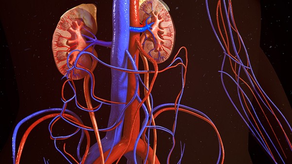 抗病毒口服液和阿奇霉素能一起吃吗 晃氏四季感冒片能和抗病毒口服液一起吃吗