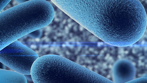 蒙脱石散与益生菌可以同服吗 这些安全用药小常识你知道吗