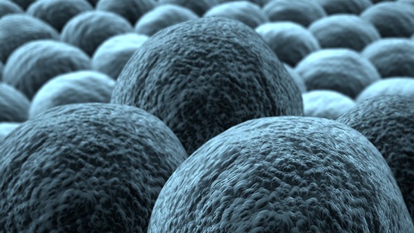 氯芬黄敏片主治什么病 倍刻氯芬黄敏片能和抗病毒口服液一起吃吗