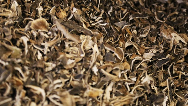 为何有的药物使用需要首剂加倍？日常用药还应注意这些事项