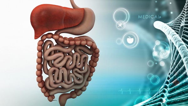 家庭日常用药时间注意哪些事项 这十类消化系统疾病用药须知
