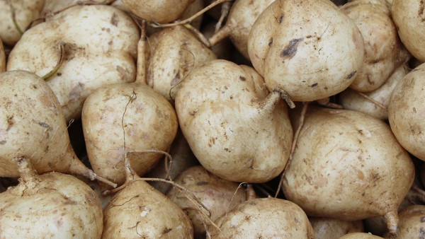 吡嗪酰胺片的药理作用有哪些？