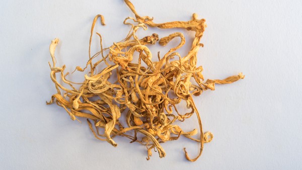 乳酸菌素片有什么藥物合用禁忌 多美舒乳酸菌素片與連花清瘟膠囊可以一起吃嗎