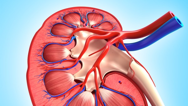 盐酸非索非那定片有什么作用?