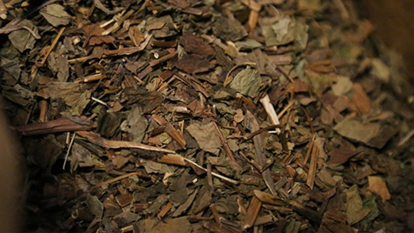 蒙脱石散是家中常备药物 疫情期间记得提前备好这些常用药