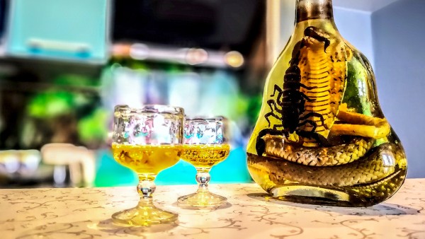 鸿茅药酒中的海桐皮有什么作用呢？