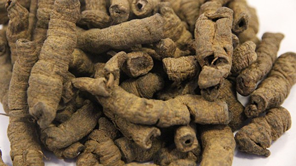 金刚片中的巴戟天功效好不好？