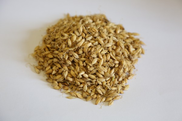 感染新冠中醫(yī)治療用藥有哪些？