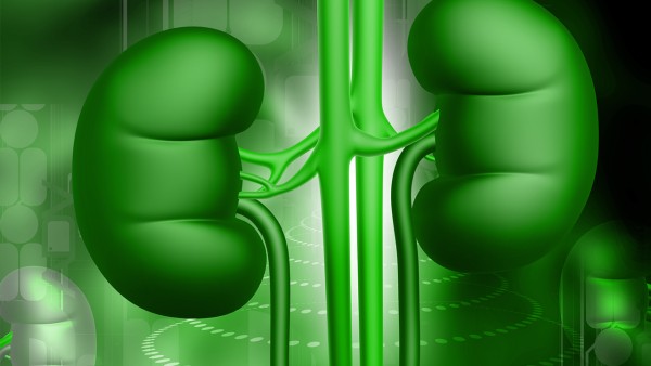 盐酸赛庚啶片的药理作用是什么?有什么注意事项?