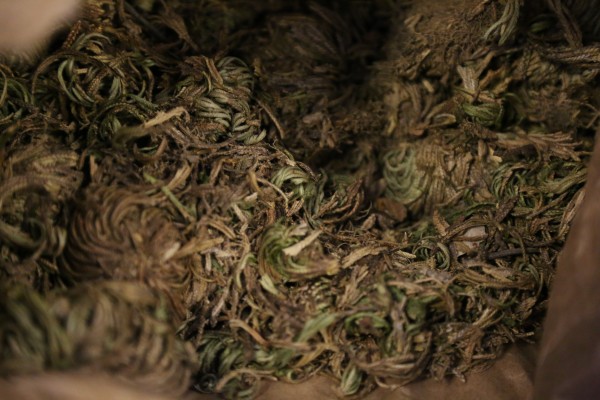 振东泰盛布洛芬片对新冠有治疗作用吗 被疯传的新冠吃药顺序图真的靠谱吗？