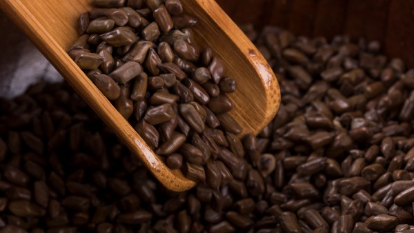 十五味乳鹏丸功效怎么样呢？能长期服用吗？