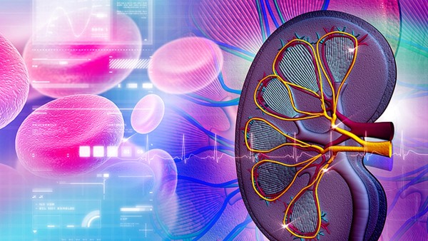 感染了新冠阳性该怎么办 新冠病毒患者居家治疗常用药建议