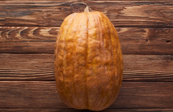 二十五味余甘子丸和解毒通淋丸能一起吃吗 十三味红花丸的功效作用有哪些