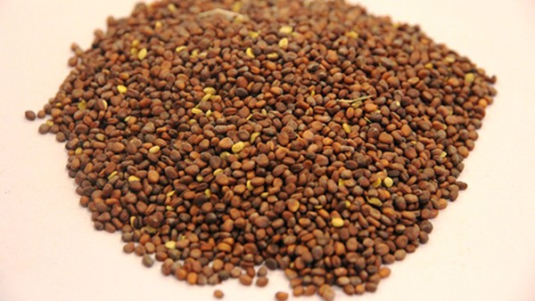 胃得安片中的莱菔子主治什么？