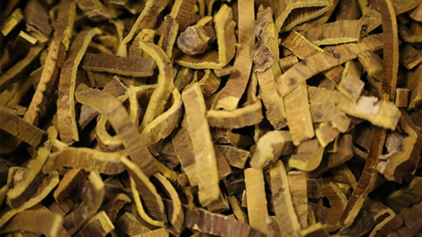 过量服用黄柏胶囊会怎样 惠黄柏胶囊是抗病毒吗