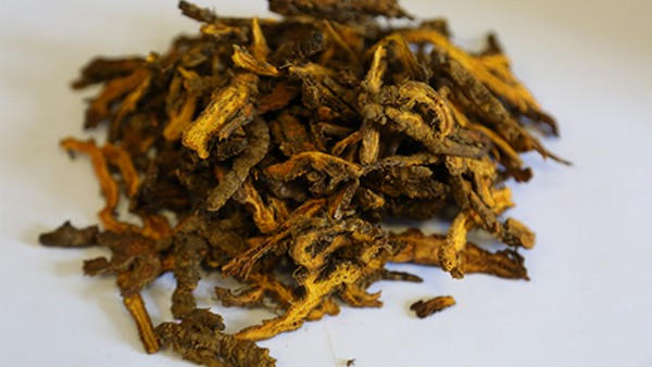 双黄消炎片的功效是什么 消炎片能和双黄连口服液一起吃吗