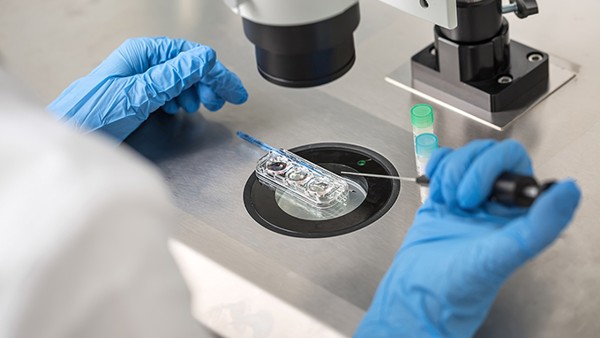 家庭防新冠用药知识：常备药连花清瘟能否与西药一起服？答案在这里