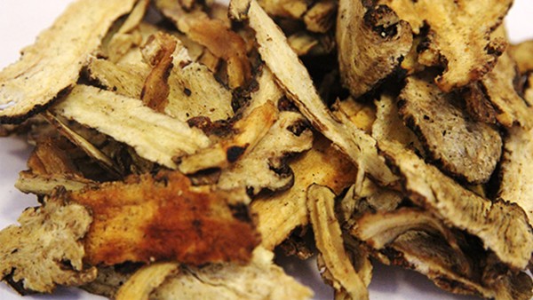 服用养血当归糖浆会有什么功效？