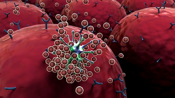黄藤素分散片怎么样 黄藤素分散片抗病毒吗