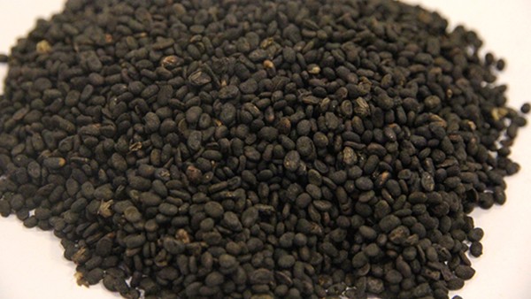 固腎定喘丸中的鹽補(bǔ)骨脂有什么作用呢？