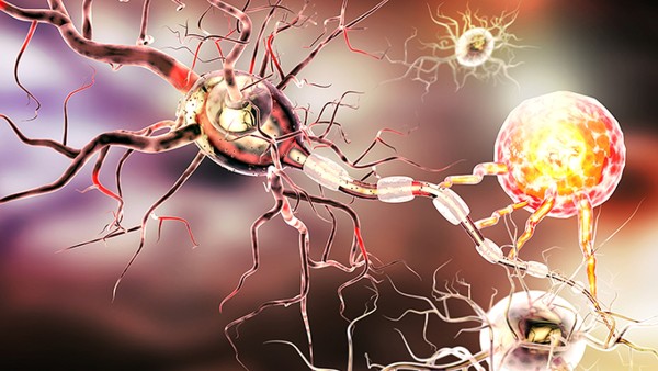 专家为阳性患者支招：居家治疗不要慌 合理用药促健康 感染新冠病毒后的症状