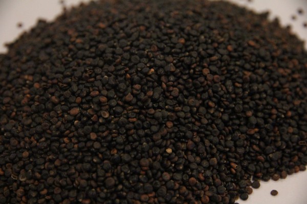 中藥連花清瘟預(yù)防性用藥的科學(xué)價(jià)值是什么