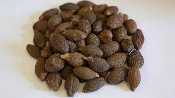 家庭防新冠用藥知識：大量臨床研究證實(shí)連花清瘟安全性良好