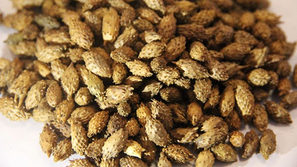 苍耳子鼻炎胶囊的主要功效是什么呢？