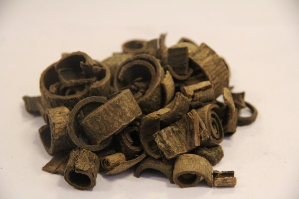 “一老一小”居家隔离这样用药 你知道多少？