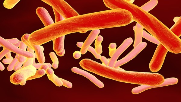 新冠病毒感染者居家治疗用药指南