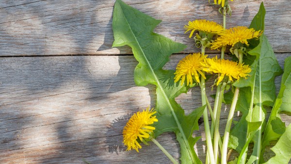 前列桂黄片主要有哪些成份？都具有什么作用？