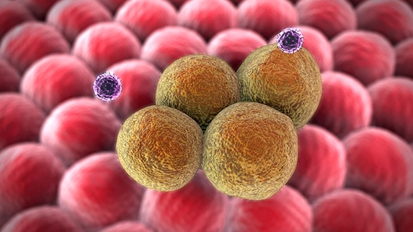 东盛抗病毒口服液能和双黄连口服液一起吃吗 得了水痘大概多久好