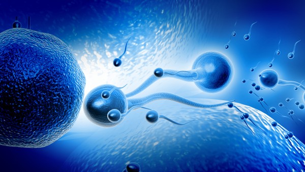 七宝美髯丹有什么作用的呢？