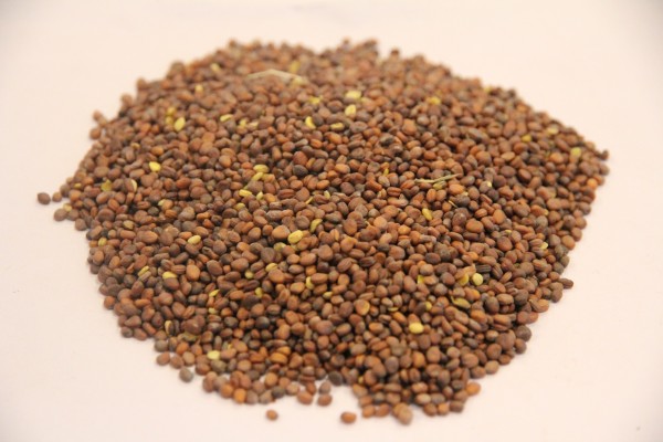 身边的人都阳了该准备什么药 新冠居家用药指南最全版