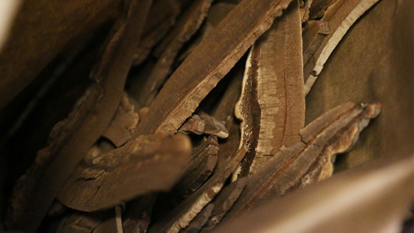 灵芝益寿胶囊功效怎么样呢？能长期服用吗？