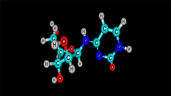 复方尿囊素片为西药吗？主治什么疾病？