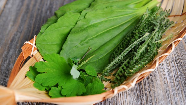 明目上清片成分是什么？功效如何？