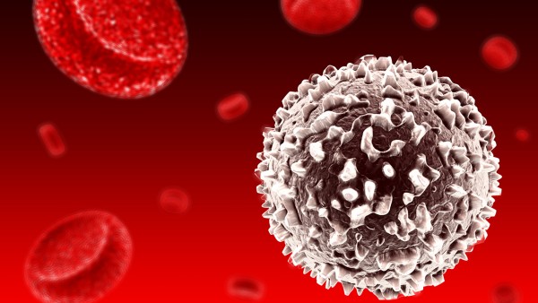 增抗宁片对治疗白细胞减少症有效果吗？