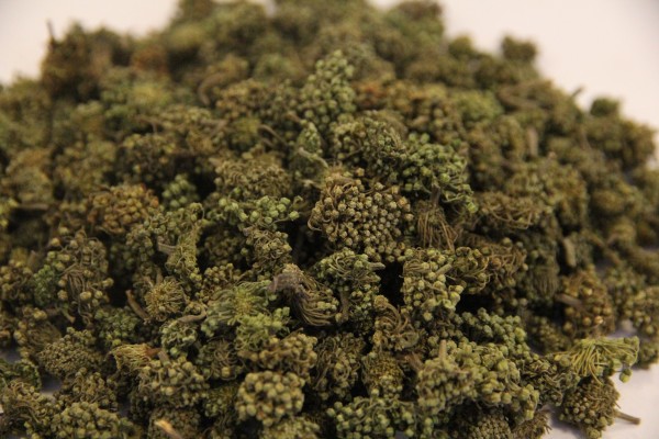 别让药物“夺走”儿童的营养