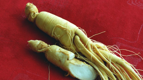 人参健脾丸主治什么?