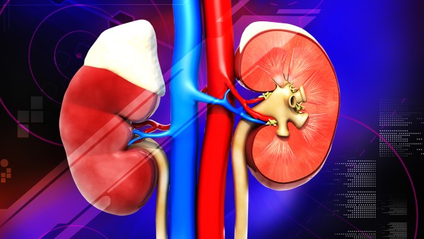 痛风定胶囊的功效好不好的呢？