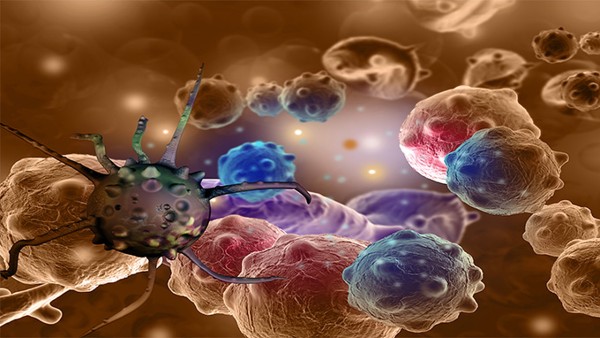 恩替卡韦分散片能和阿莫西林一起服用吗 阿莫西林片抗病毒吗