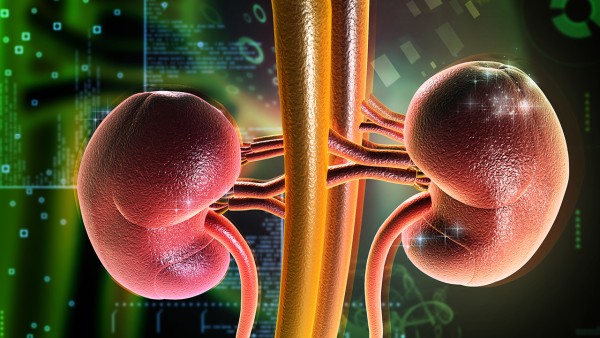 盐酸金霉素眼膏的主要成分是什么？有什么作用？