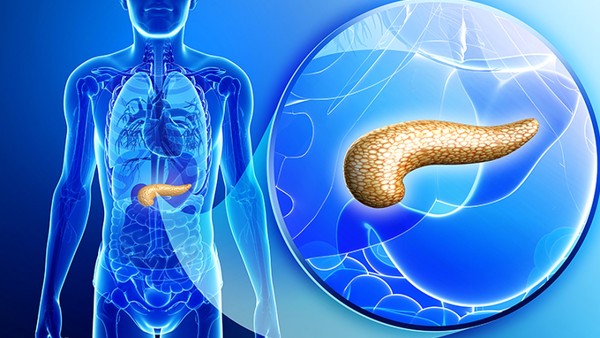 护肝片的效果好吗？日常怎么贮藏呢？