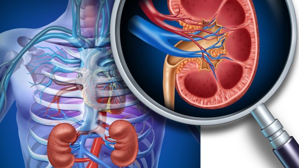 肾宝片主要成份是什么？功效怎么样？