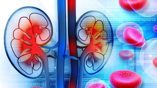 壮肾安神片适合老年人服用吗？